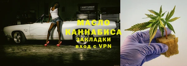 молекула духа Надым