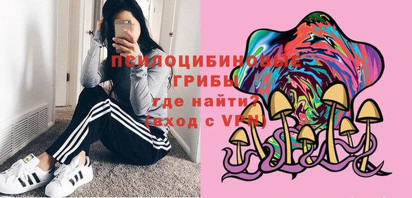 молекула духа Наволоки