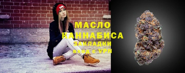 молекула духа Надым