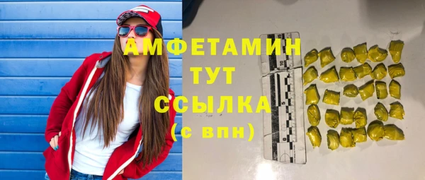 молекула духа Надым