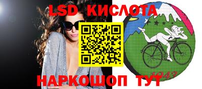 PSILOCYBIN Гатчина
