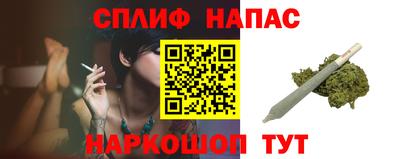 PSILOCYBIN Гатчина