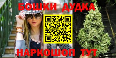 PSILOCYBIN Гатчина