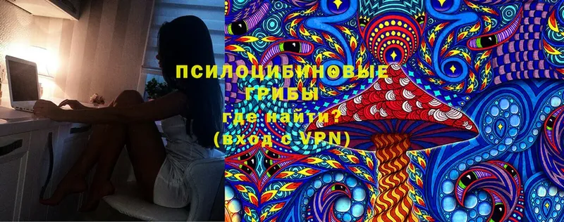 mega зеркало  Североуральск  Галлюциногенные грибы MAGIC MUSHROOMS 