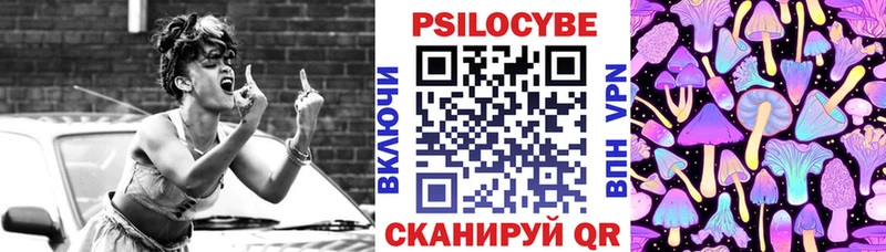 Псилоцибиновые грибы Cubensis  Североуральск 