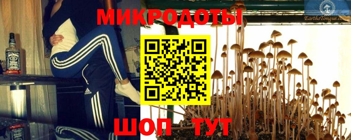 сколько стоит  Вход с VPN  Псилоцибиновые грибы Cubensis  Североуральск  Галлюциногенные грибы мицелий 