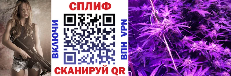 Бошки марихуана семена закладка Североуральск